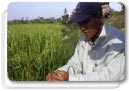 Cambodia 6