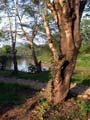 Laos Gallery Image 56