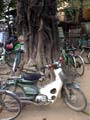 Vietnam Gallery Image 16