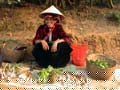 Vietnam Gallery Image 74